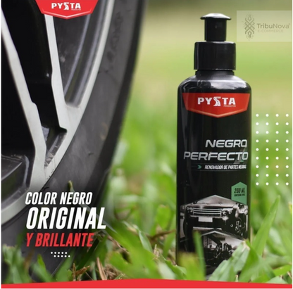 Renovador Platico Negro Perfecto 200ml PYSTA